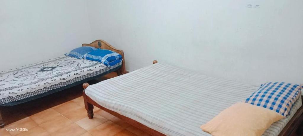 St Xavier Always Guest house